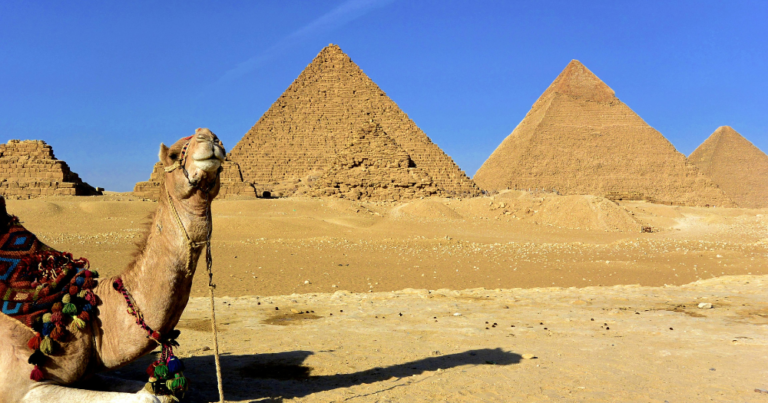 Future plan is to use Egypt as a hub to assemble and export cars to North African markets